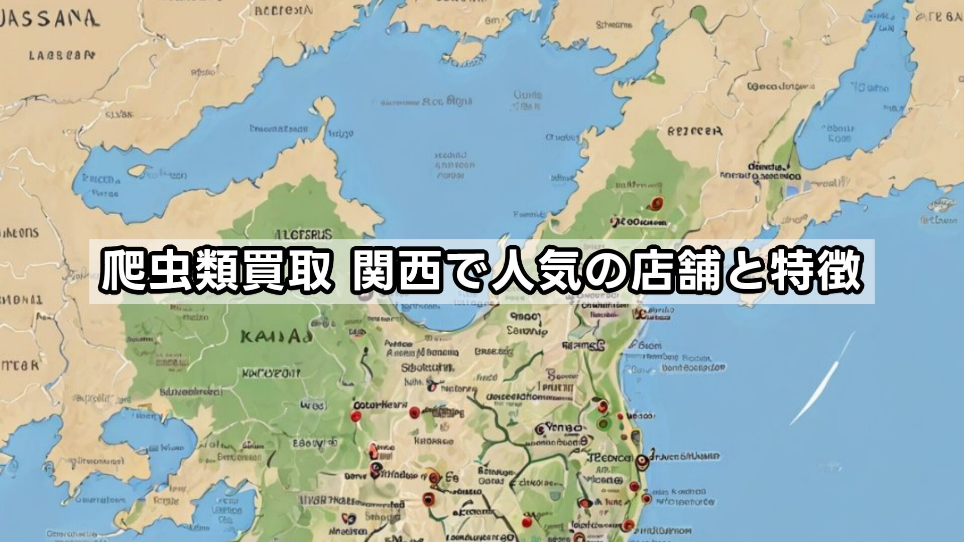 爬虫類買取 関西で人気の店舗と特徴