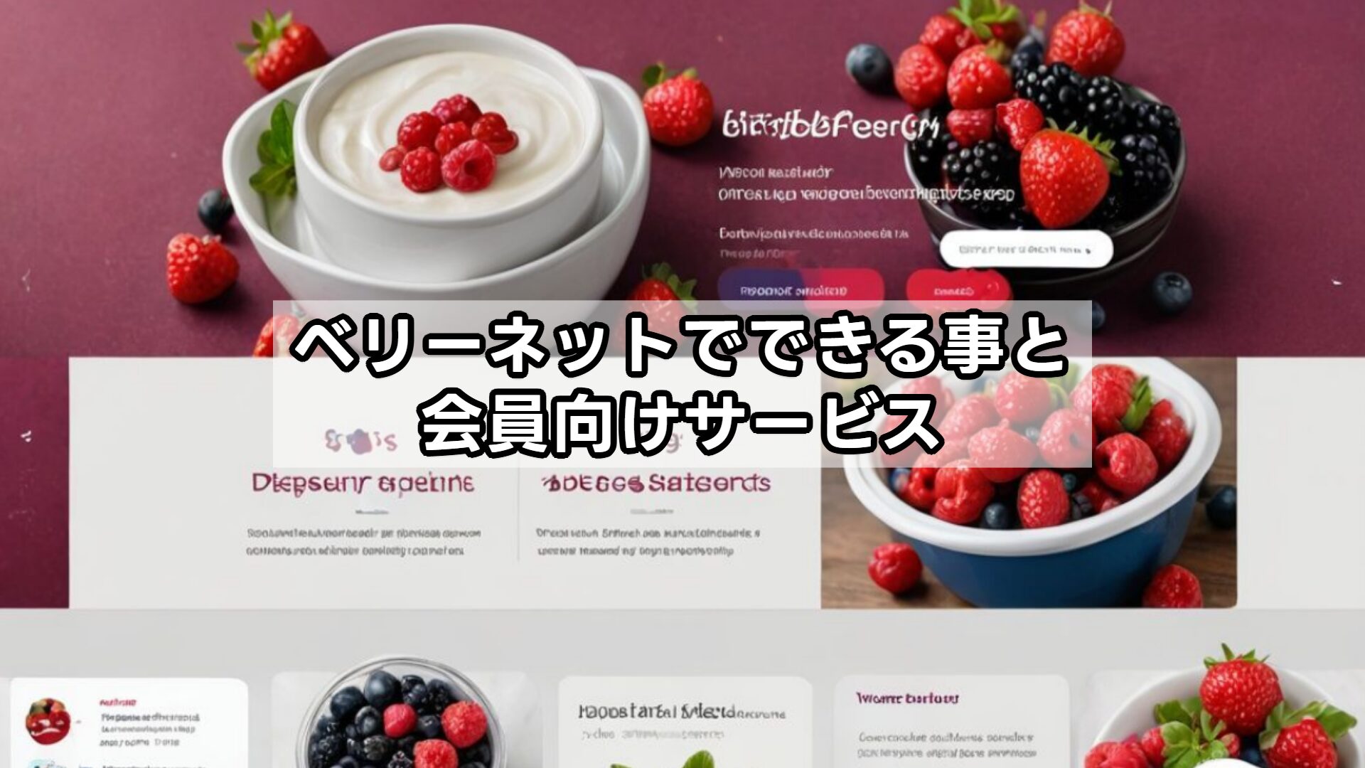 ベリーネットでできることと会員向けサービス