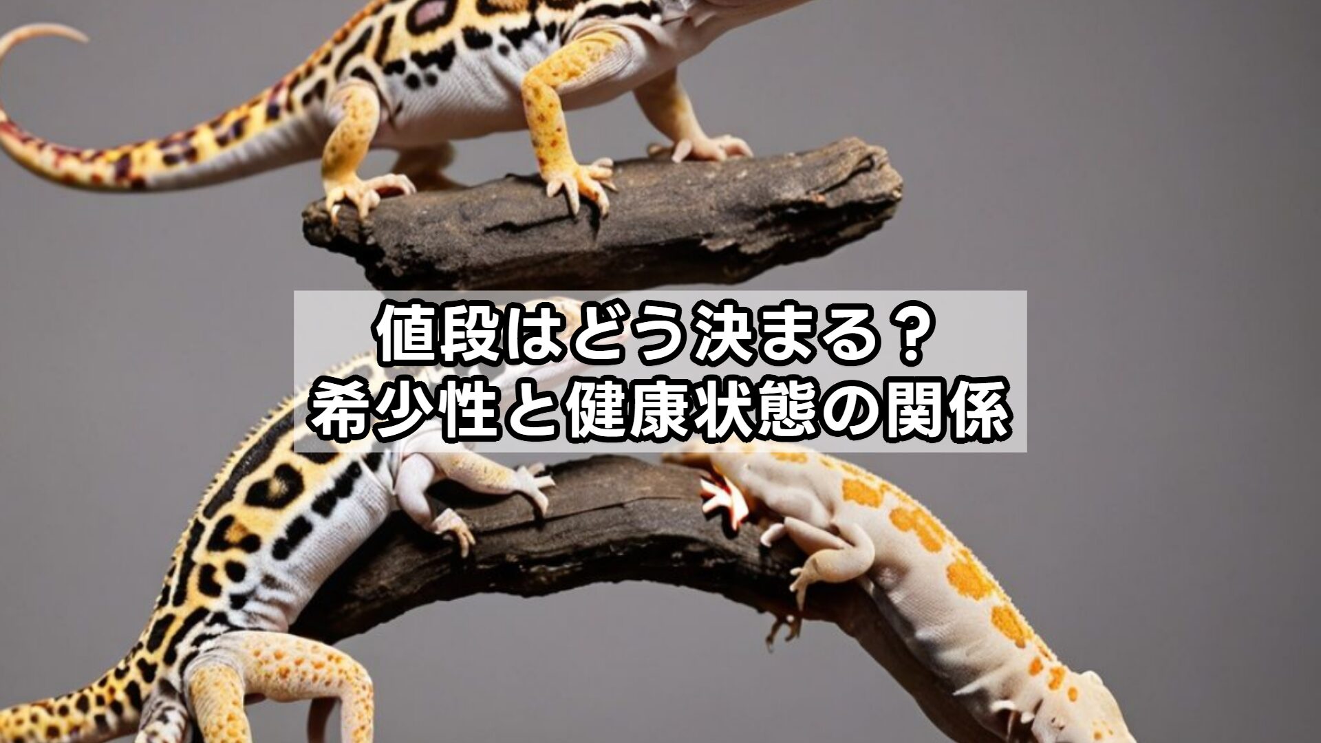 値段はどう決まる？希少性と健康状態の関係