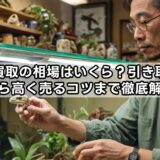 爬虫類買取の相場はいくら？引き取り方法から高く売るコツまで徹底解説