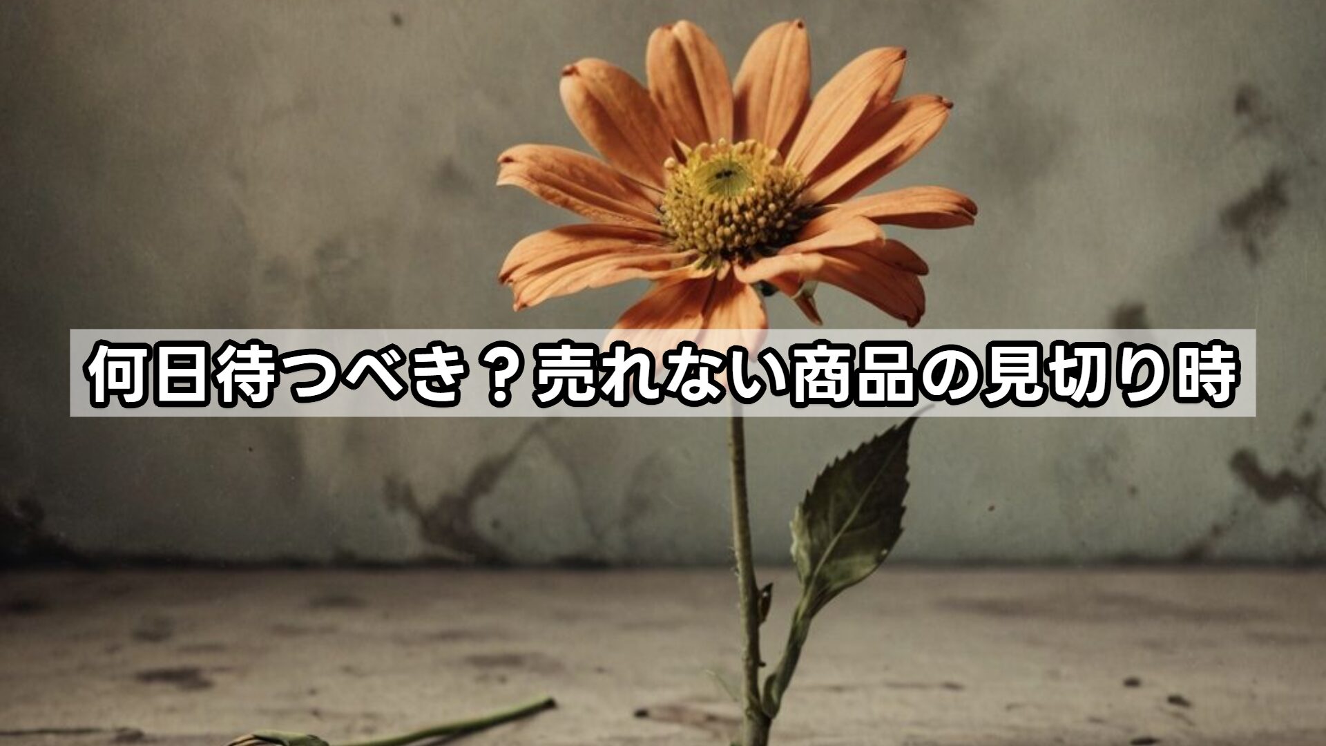 何日待つべき?売れない商品の見切り時