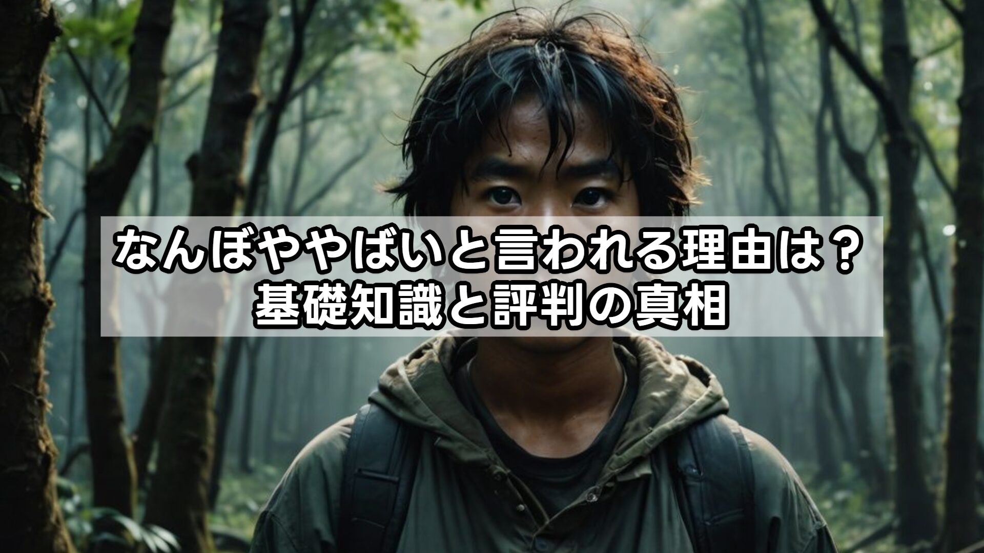 なんぼややばいと言われる理由は?基礎知識と評判の真相