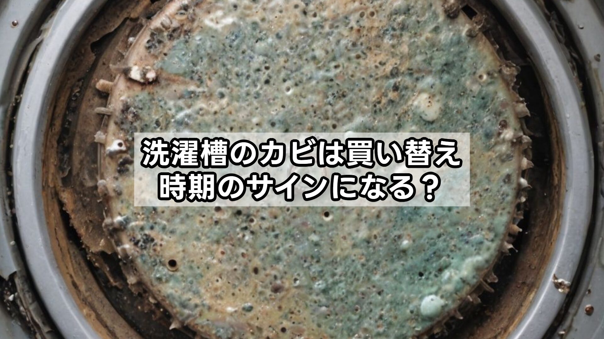 洗濯槽のカビは買い替え時期のサインになる?