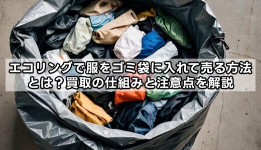 エコ リング 服 ゴミ 袋