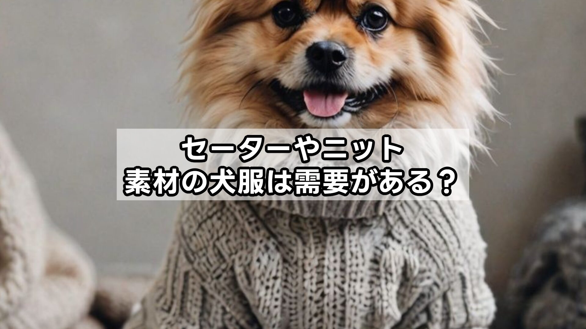 セーターやニット素材の犬服は需要がある？
