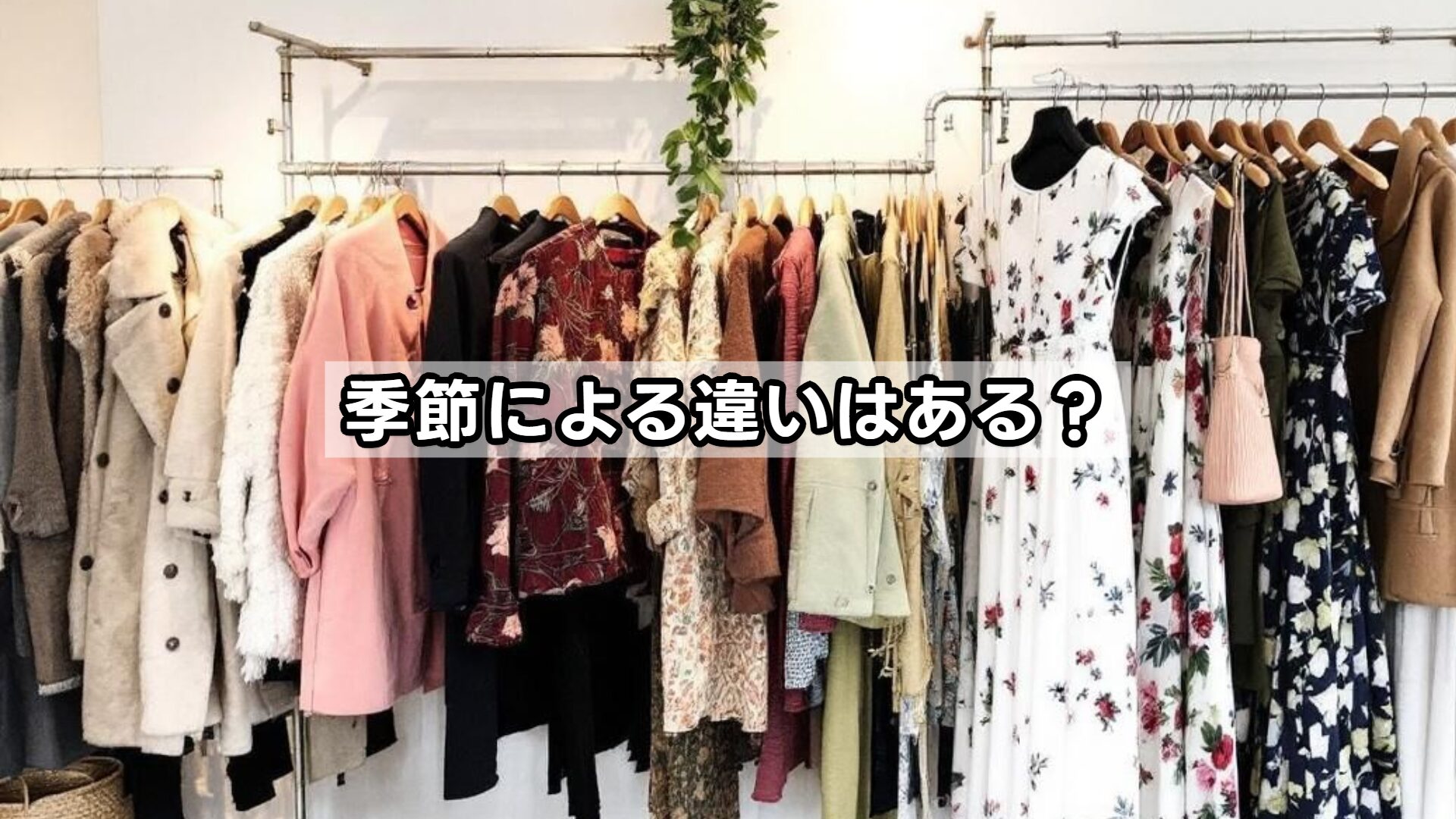 季節による違いはある？