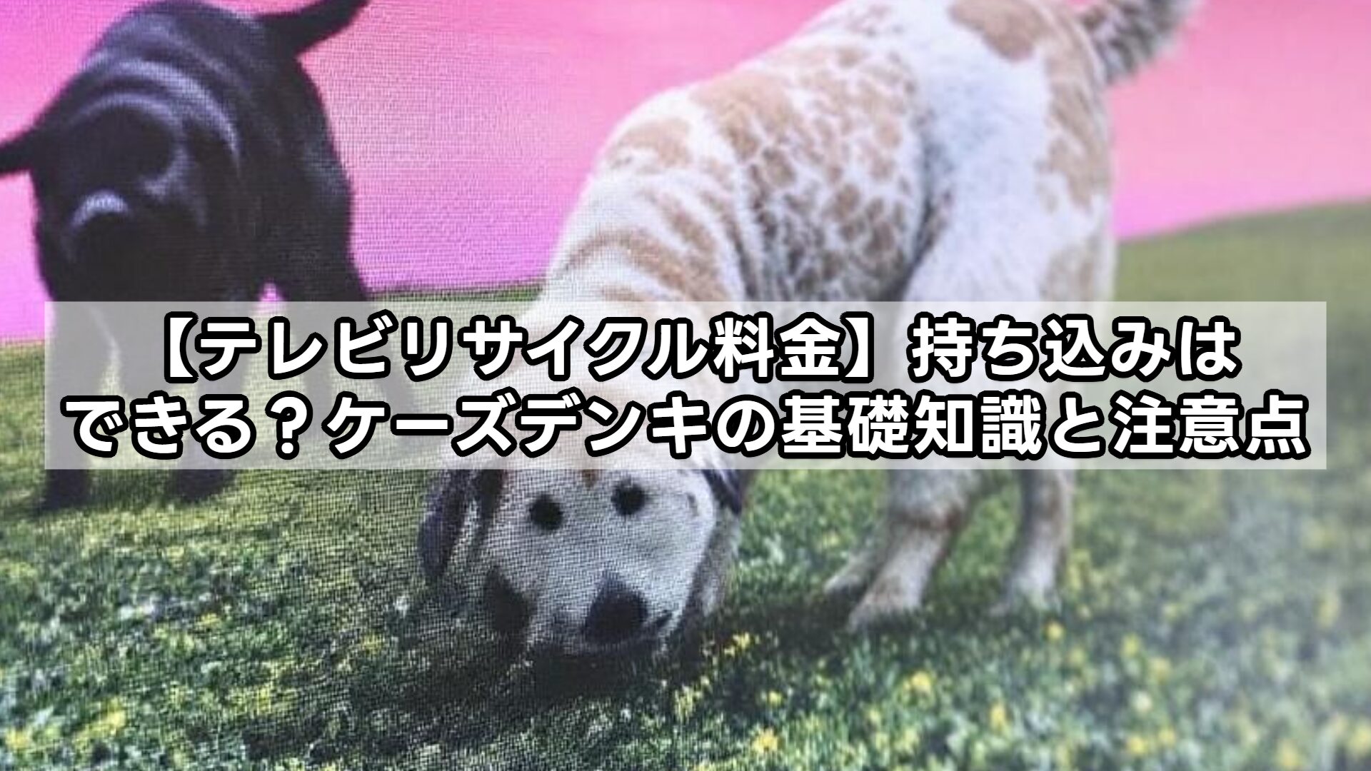 【テレビリサイクル料金】持ち込みはできる？ケーズデンキの基礎知識と注意点